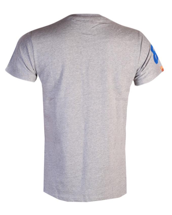 SUPERDRY Graphic Regular Ash Fit Round Neck T-Shirt - Obeezi.com